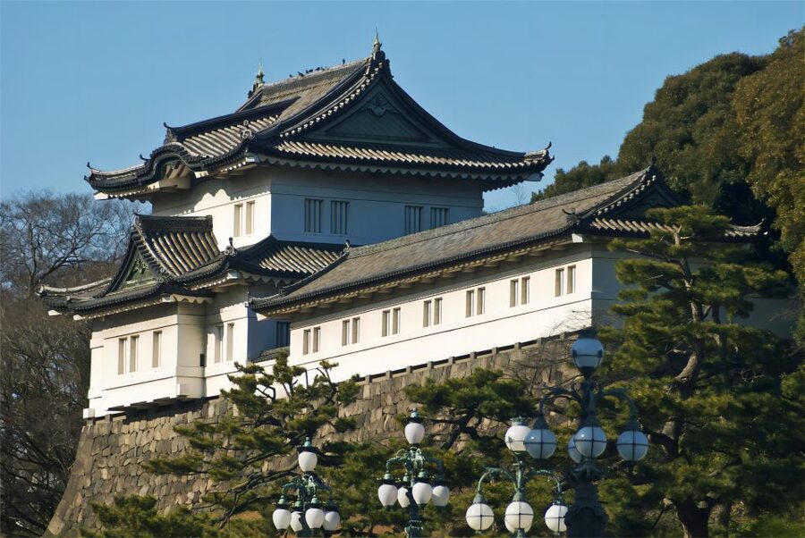 Tokyo:Cherry Blossom Mt Fuji & Shibazakura Festival Day Trip - A flower-filled view of Mt Fuji at Lake Motosuko