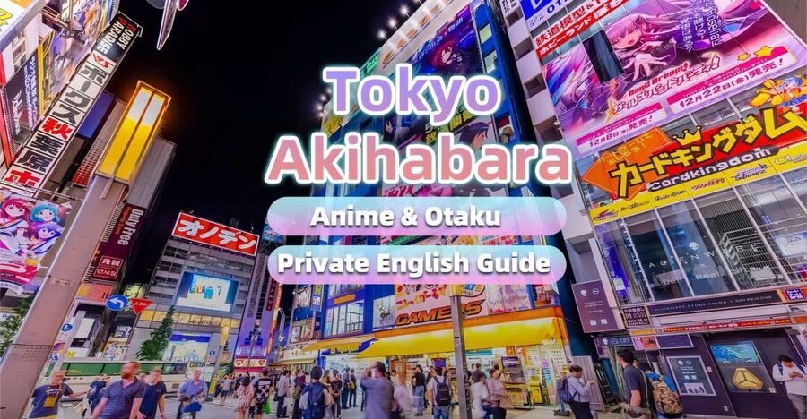 Tokyo:Cherry Blossom Mt Fuji & Shibazakura Festival Day Trip - What the 10-hour schedule feels like