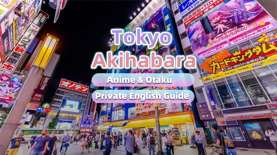 Tokyo:Cherry Blossom Mt Fuji & Shibazakura Festival Day Trip - Guide service and a serious quality warning