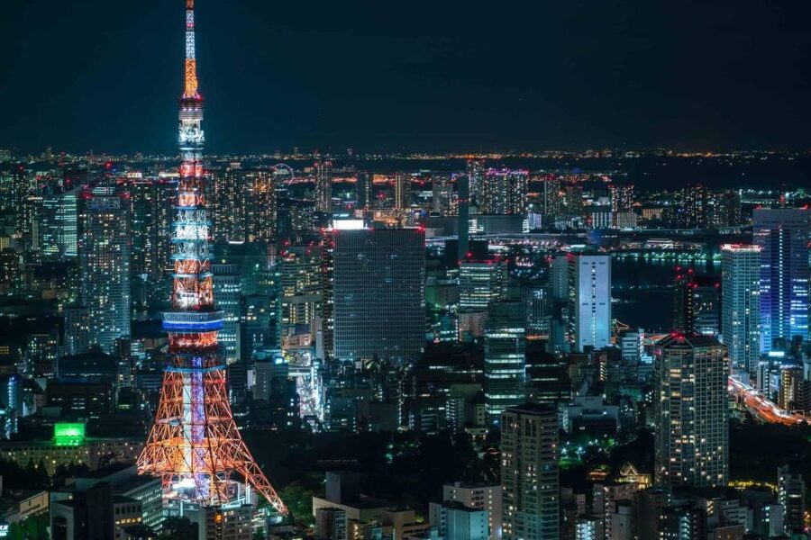 Tokyo:Cherry Blossom Mt Fuji & Shibazakura Festival Day Trip - The price and what it covers