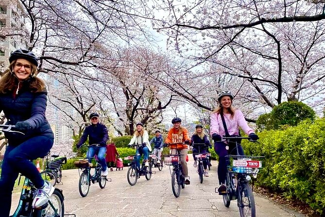 Tokyo Cherry Blossoms blooming spots E-bike Tour, 3hrs - Why an E-bike is a smart way to see Tokyo in spring