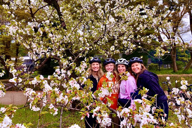 Tokyo Cherry Blossoms blooming spots E-bike Tour, 3hrs - Starting near Kanda Station