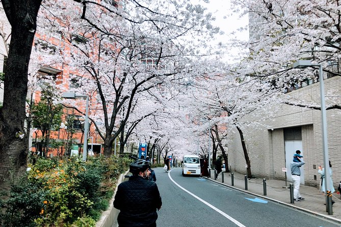 Tokyo Cherry Blossoms blooming spots E-bike Tour, 3hrs - Hibiya Park: a brief urban green pause
