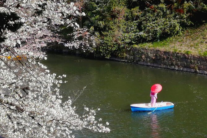 Tokyo Cherry Blossoms blooming spots E-bike Tour, 3hrs - Kensei Kinenkan: another chance to get off and look around