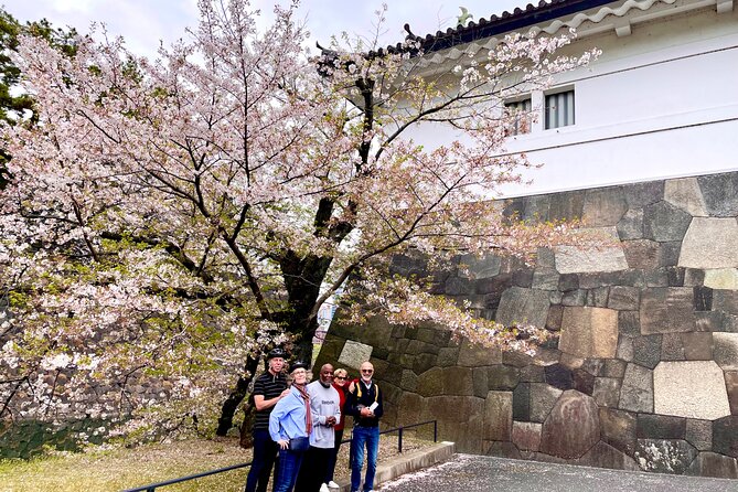 Tokyo Cherry Blossoms blooming spots E-bike Tour, 3hrs - Cherry blossom timing is the biggest variable