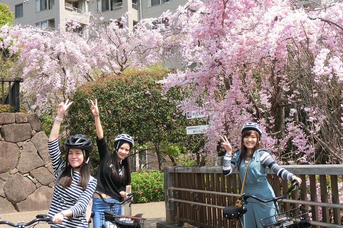 Tokyo Cherry Blossoms blooming spots E-bike Tour, 3hrs