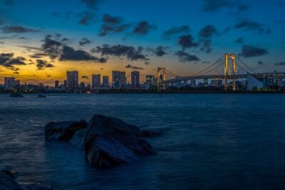 Tokyo City 1-Day Private Tour with Bilingual Driver - Tsukiji Fish Market: start with Tokyo’s food culture
