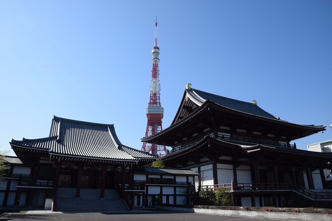 Tokyo City 1-Day Private Tour with Bilingual Driver - Meiji Jingu Shrine: a quiet break from the city