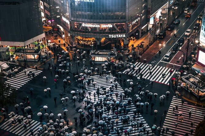 Tokyo City 1-Day Private Tour with Bilingual Driver - What the bilingual driver adds to the day