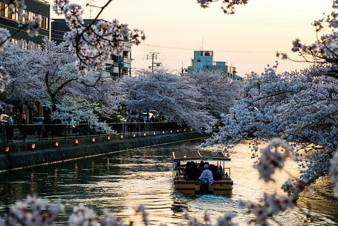 Tokyo City Adventures Private English Tour With Hotel Pickup - A private Tokyo day that changes with your interests