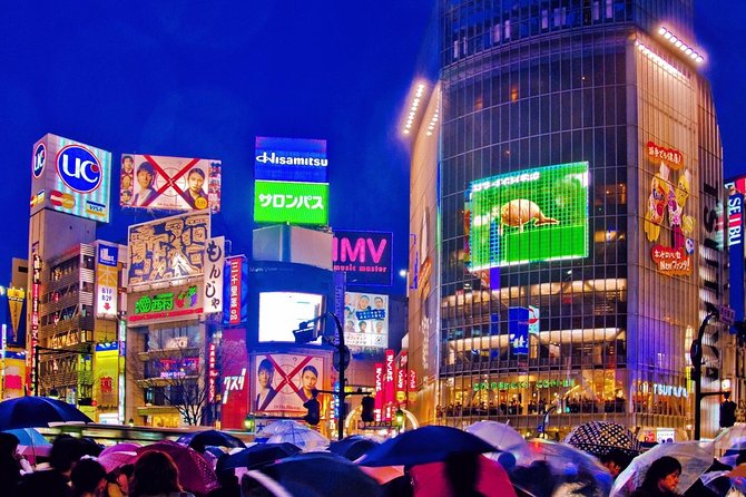 Tokyo City Night View Tour with Native Japanese Driver - Who gets the most value from the $208.44 price