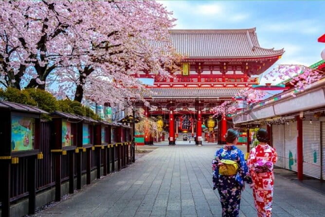 Tokyo City Tour by Private Car & English guide - Key points to know before booking