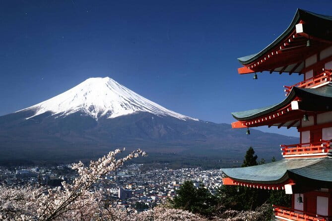 Tokyo City Tour by Private Car & English guide - Odaiba and Tokyo Bay