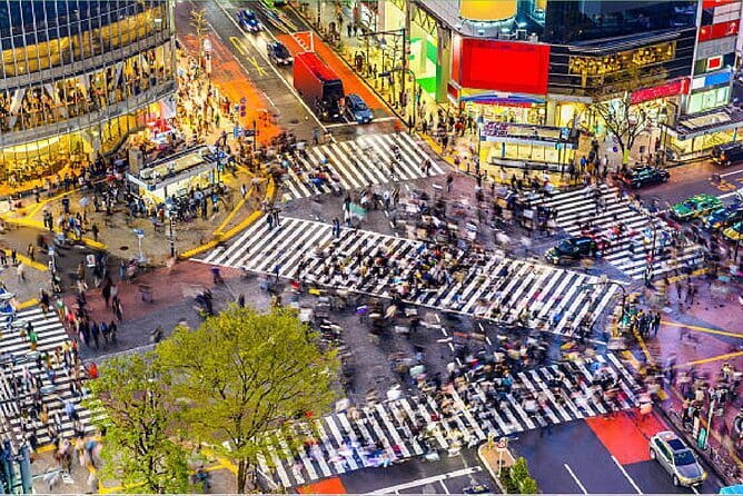 Tokyo City Tour by Private Car & English guide - Shibuya Crossing and the city’s modern face