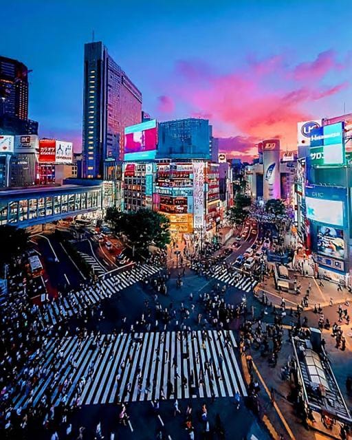 Tokyo: City Tour Tokyo With Driver - Meiji Shrine and Takeshita Street: two sides of Harajuku