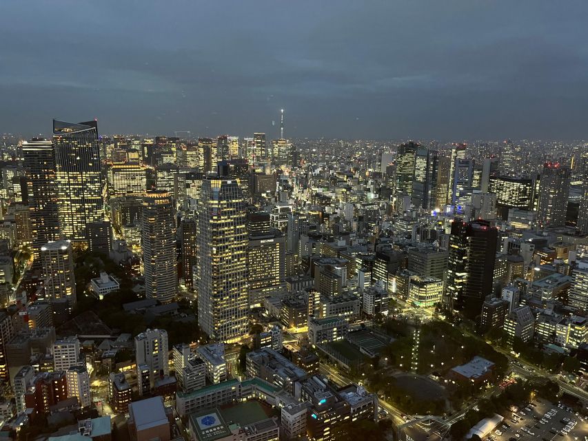 tokyo city walk tour visit Tokyo in one day - Tokyo Tower and the city from above