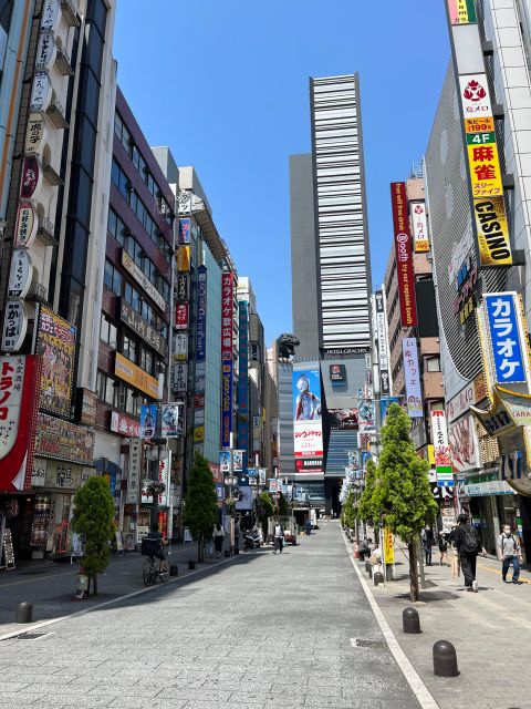 tokyo city walk tour visit Tokyo in one day - What the $258 group price really buys