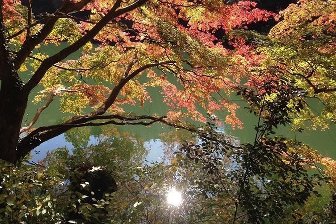 Tokyo Countryside Exploration Private Tour - Key points to know before booking