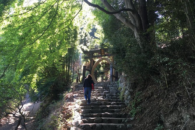 Tokyo Countryside Exploration Private Tour - Ogose-machi, waterfalls, and the Dragon Taming Temple