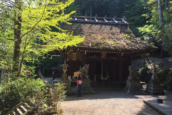 Tokyo Countryside Exploration Private Tour - What $280.94 per person buys you