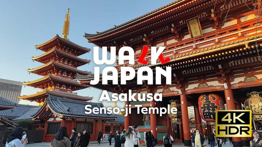 Tokyo: Customizable Day Trip Within Tokyo & English-Driver - Key points to know before booking