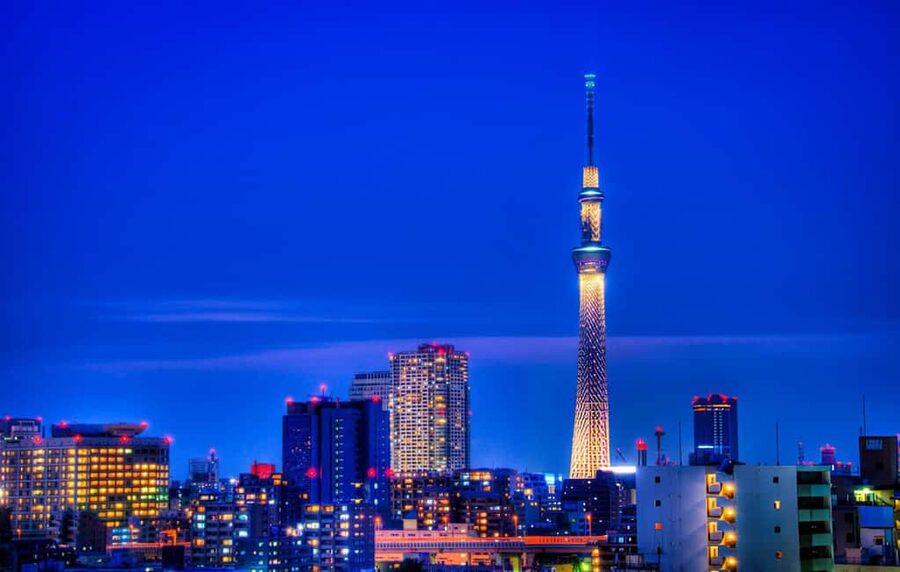 Tokyo: Customizable Day Trip Within Tokyo & English-Driver - What the long day feels like