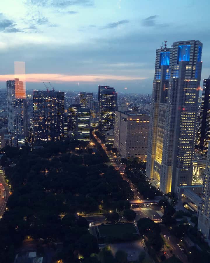 Tokyo: Customizable Day Trip Within Tokyo & Its Attractions - A private Tokyo day built around your priorities