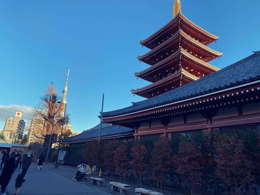 Tokyo: Customizable Day Trip Within Tokyo & Its Attractions - Shibuya for Tokyo’s famous city energy