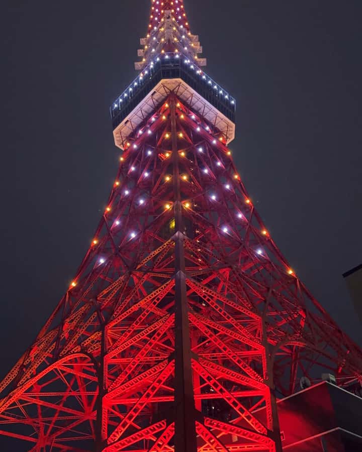 Tokyo: Customizable Day Trip Within Tokyo & Its Attractions - What the vehicle and driver add
