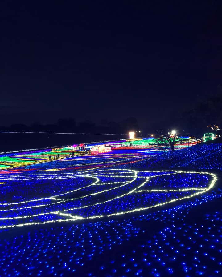 Tokyo: Customizable Day Trip Within Tokyo & Its Attractions - Price, group size, and what you still pay