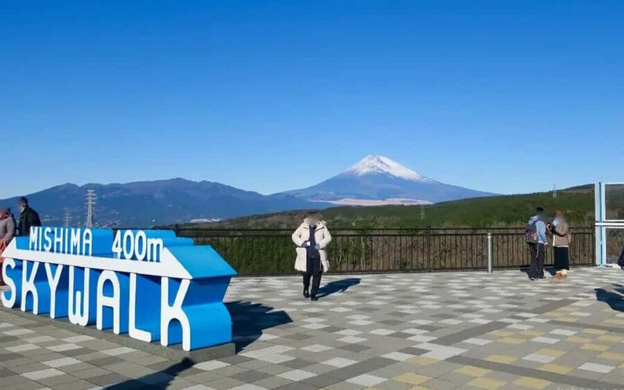 Tokyo:Customizable Private Day Trip to Mt.Fuji & Safari Park - Key points to know before booking