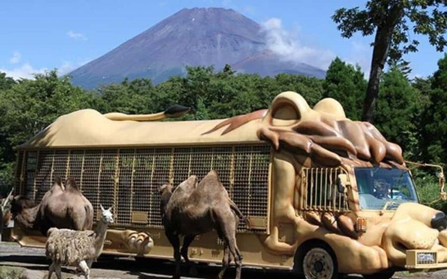 Tokyo:Customizable Private Day Trip to Mt.Fuji & Safari Park - The five lakes: the strongest choice for Fuji scenery