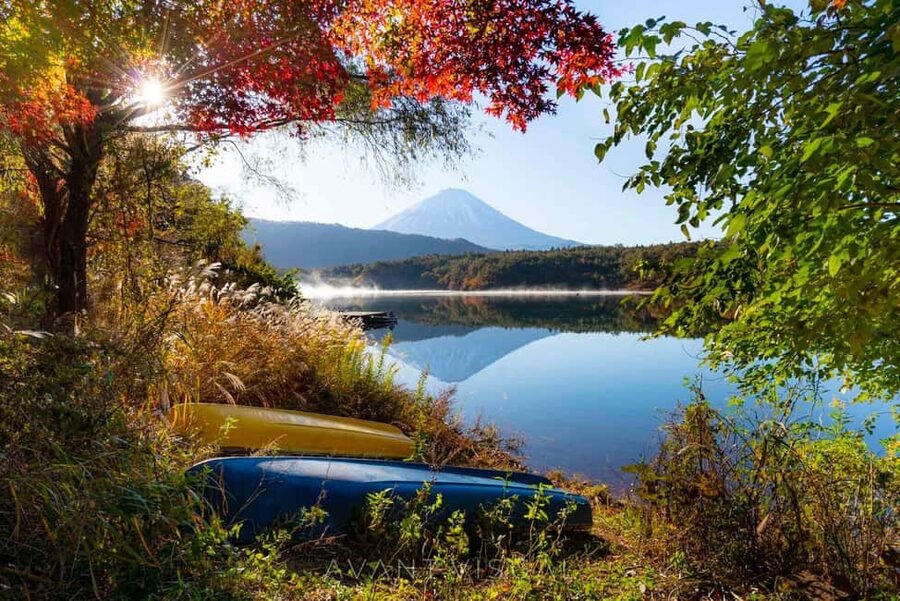 Tokyo:Customizable Private Day Trip to Mt.Fuji & Safari Park - Oshino Hakkai and the mountain’s cultural side