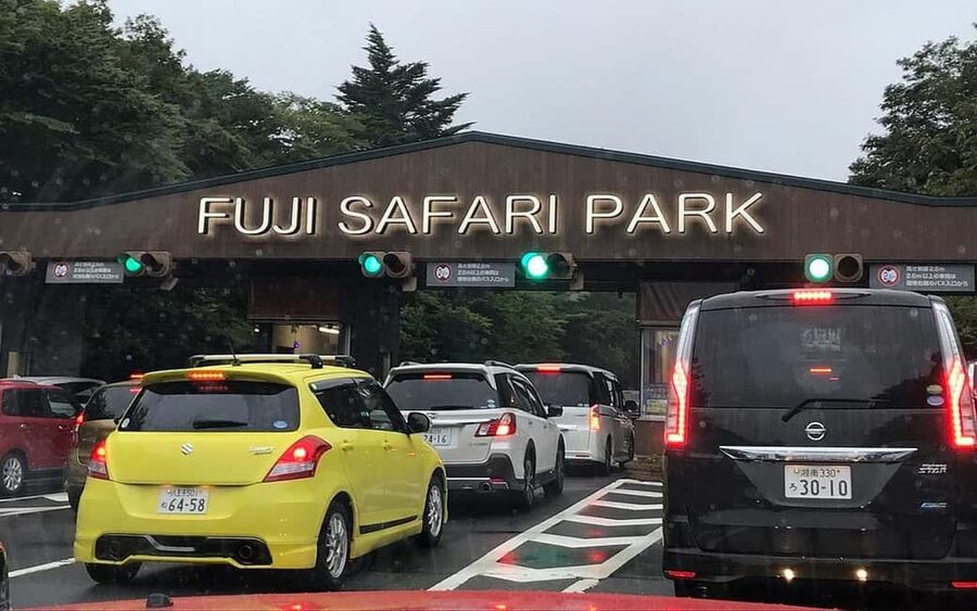 Tokyo:Customizable Private Day Trip to Mt.Fuji & Safari Park - Chureito Pagoda and the familiar Fuji photograph