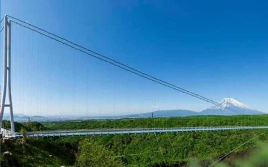 Tokyo:Customizable Private Day Trip to Mt.Fuji & Safari Park - Tokyo pickup and the long road west