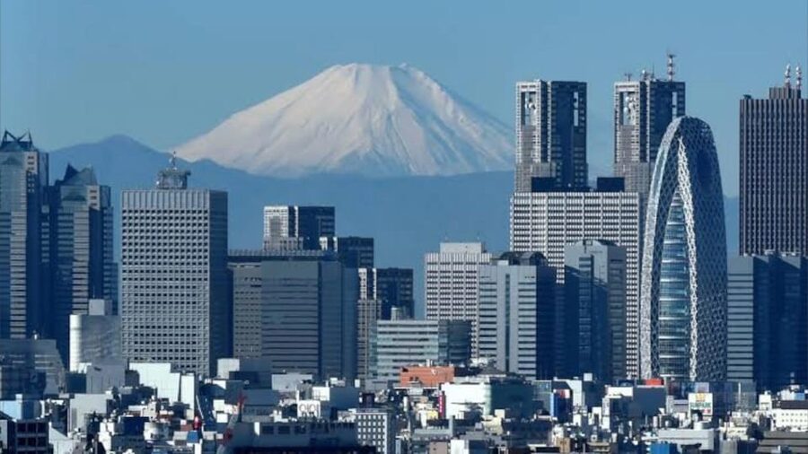 Tokyo: Customizable Private Guided Walking Tour - Food stops that make the tour personal