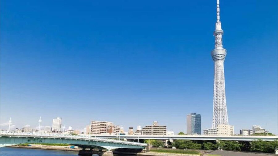 Tokyo: Customizable Private Guided Walking Tour - Who should book this Tokyo tour?