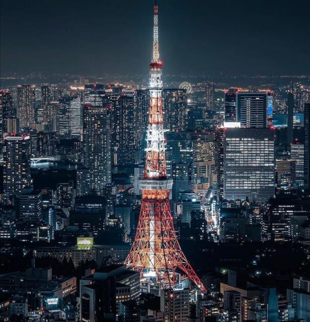 Tokyo Customizable Private Tour by Car & Van - Key points at a glance
