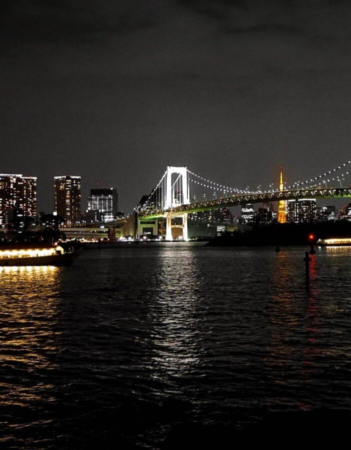 Tokyo Customizable Private Tour by Car & Van - The driver can make or break the experience