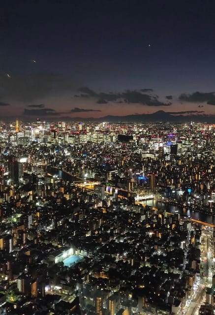 Tokyo Customizable Private Tour by Car & Van - A quiet walk at Meiji Shrine