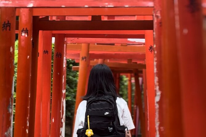 Tokyo Customizable Private Walking Tour with a Local Guide - What your custom route might include