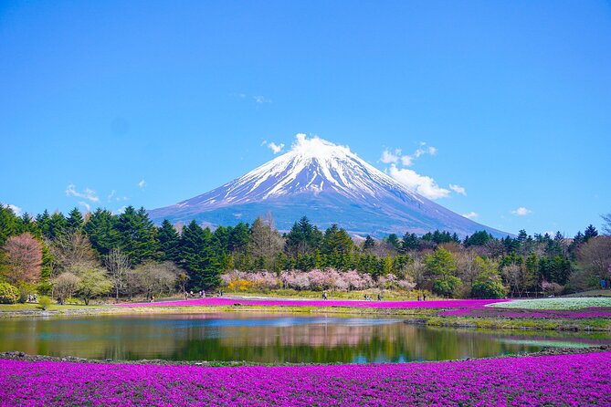 Tokyo: Customized Mt. Fuji & Hakone Sightseeing Private Day Trip - Why a private vehicle makes Fuji possible in one day