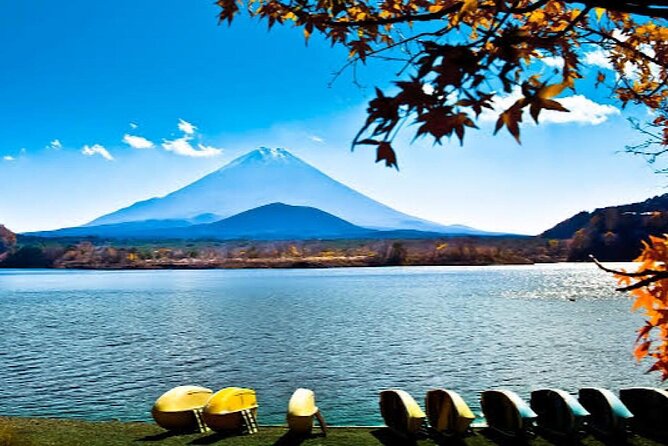 Tokyo: Customized Mt. Fuji & Hakone Sightseeing Private Day Trip - Chureito Pagoda and the classic Fuji photograph