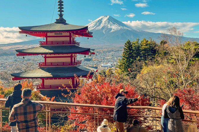 Tokyo: Customized Mt. Fuji & Hakone Sightseeing Private Day Trip - The Panoramic Ropeway adds height without a mountain climb