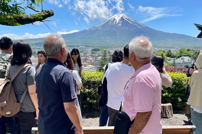 Tokyo: Customized Mt. Fuji & Hakone Sightseeing Private Day Trip - What the $474.90 group price really buys