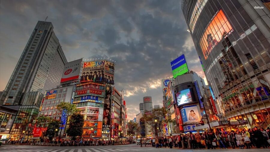 Tokyo: Customized Private Tour with a Local Guide - A Tokyo tour that changes with your interests