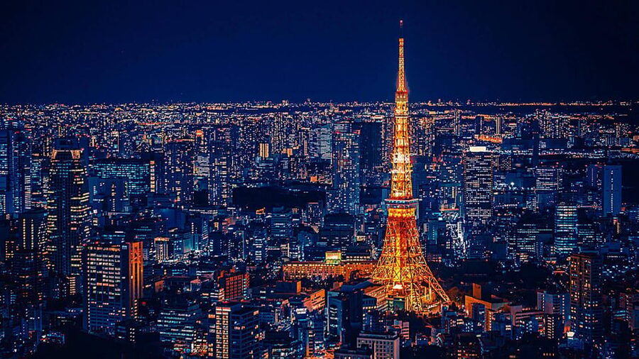 Tokyo: Customized Private Tour with a Local Guide - Food, cafes, shopping, and local advice