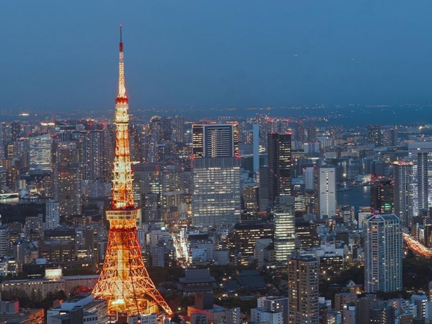 Tokyo Dinner Cruise & Tradition Show & Drinks & Tokyo Tower - Practical details that affect your decision