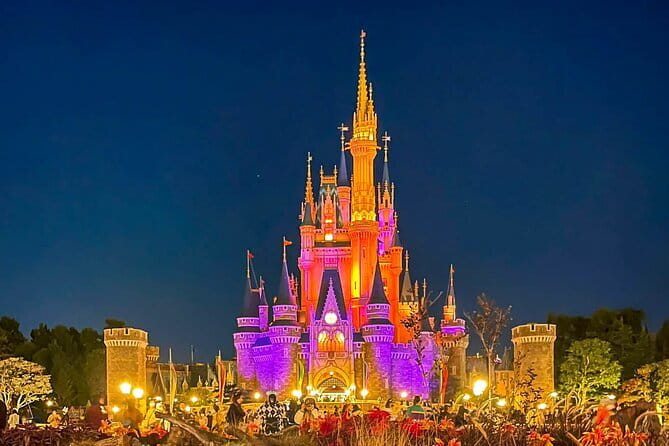 Tokyo Disney Resort Park E-Tickets with Options - Choosing the Entry Time
