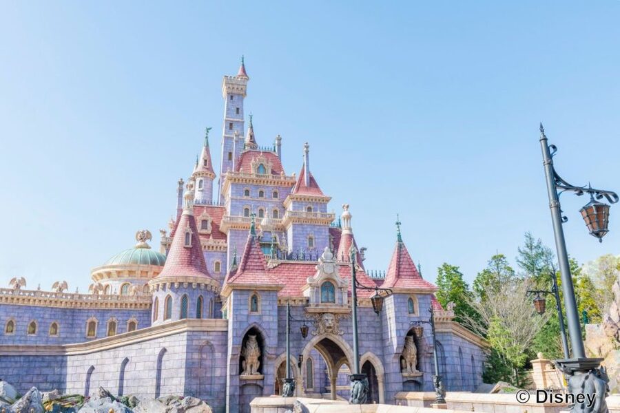 Tokyo Disneyland 1-Day Passport - Who should book this day at Tokyo Disneyland?